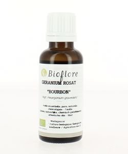 Géranium Rosat 'bourbon'(Pelargonium graveolens) BIO